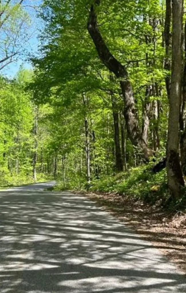 95.43 Sheep Bluff Road Cookeville TN 38506