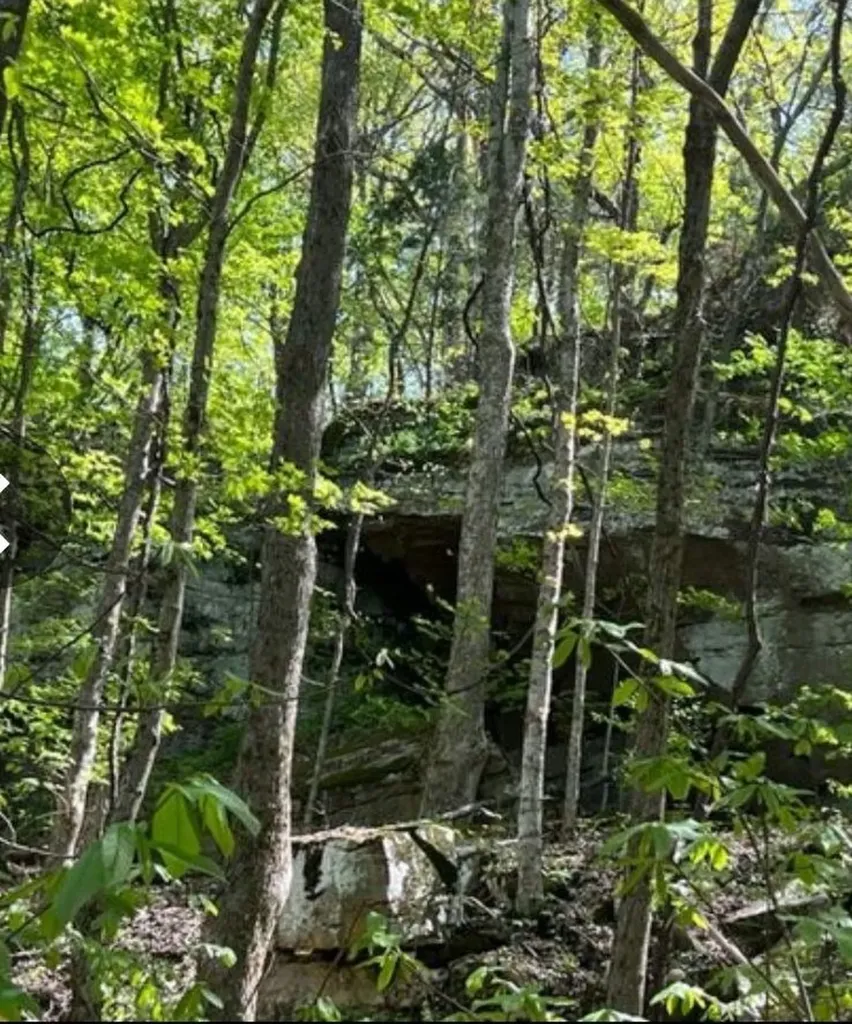 95.43 Sheep Bluff Road Cookeville TN 38506