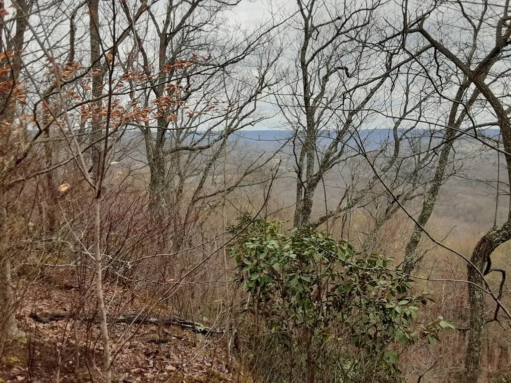 95.43 Sheep Bluff Road Cookeville TN 38506