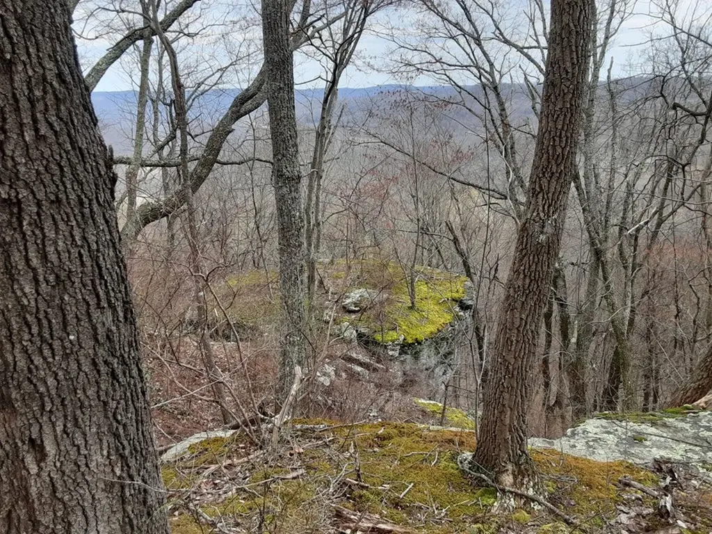95.43 Sheep Bluff Road Cookeville TN 38506
