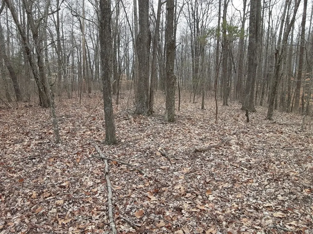 95.43 Sheep Bluff Road Cookeville TN 38506