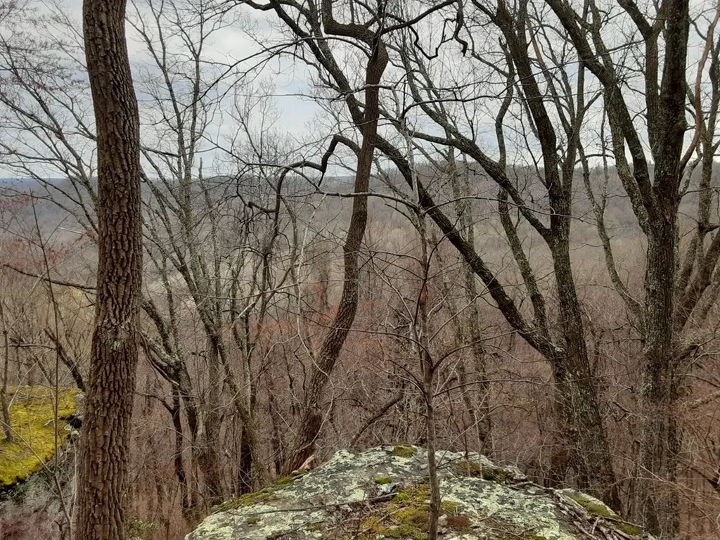95.43 Sheep Bluff Road Cookeville TN 38506