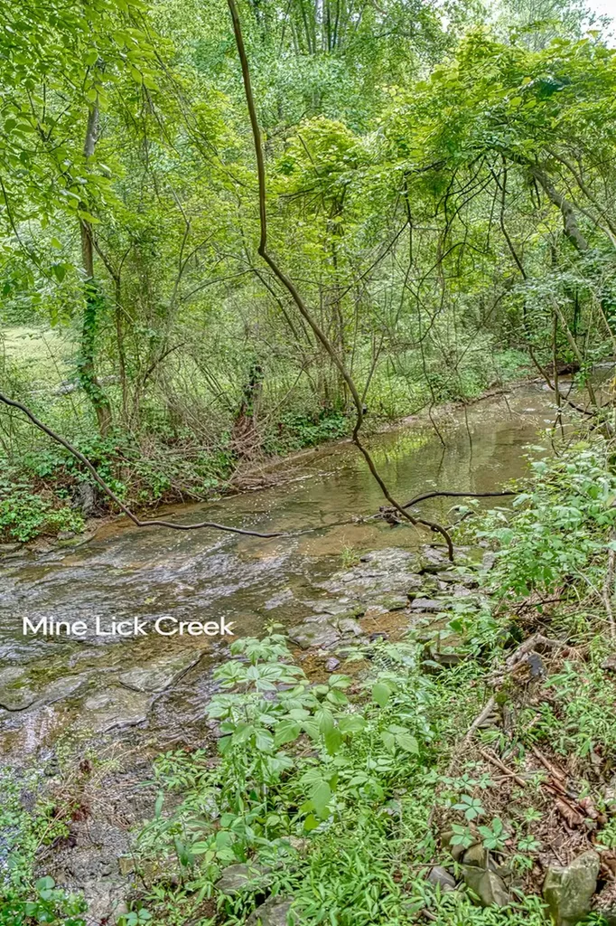 143 Rachelle Place Baxter TN 38544