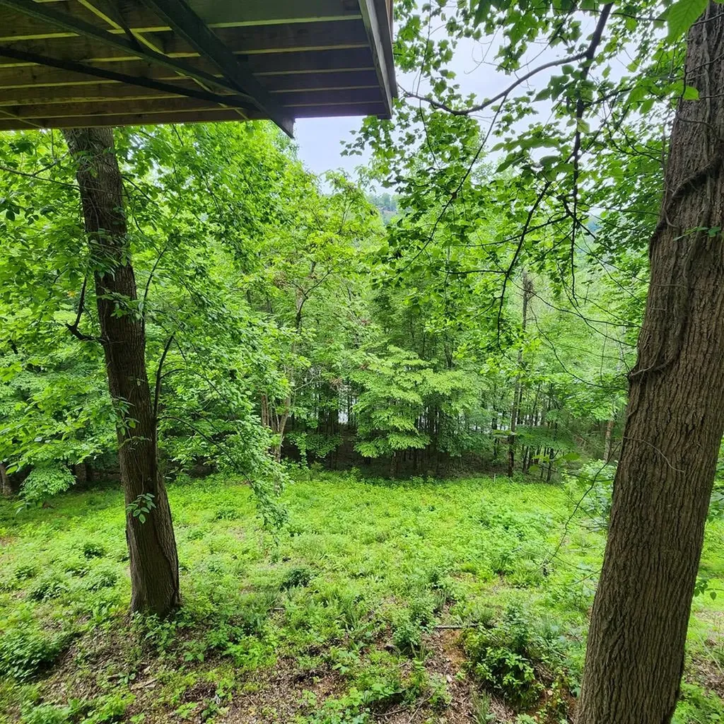 268 Summer Court Smithville TN 37166