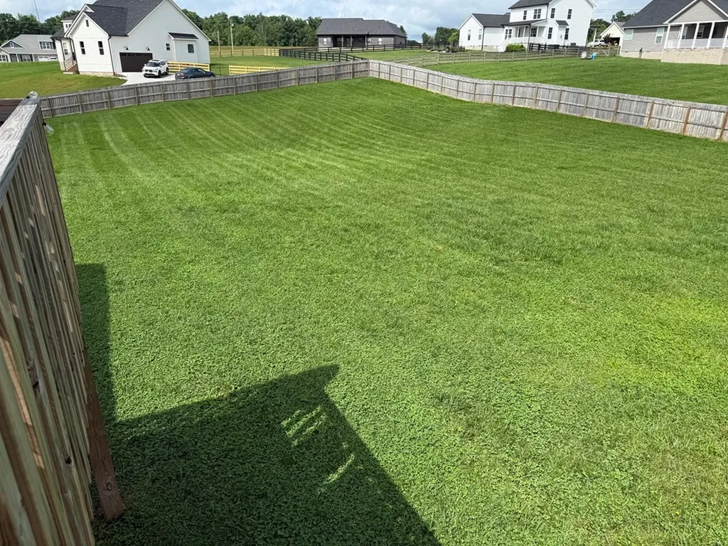 2617 Spring Arbor Court Cookeville TN 38501