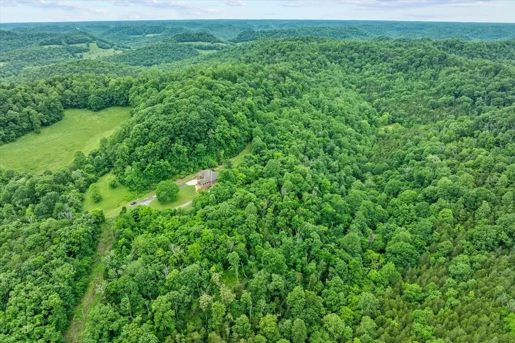 360 Long Hollow Lane Gainesboro TN 38562