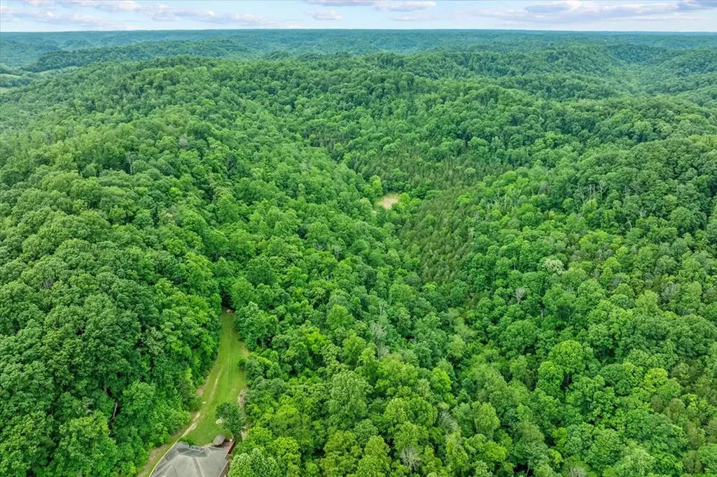 360 Long Hollow Lane Gainesboro TN 38562