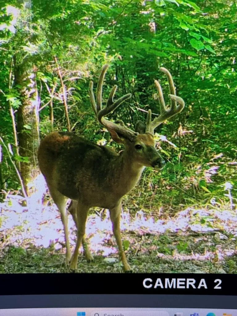 360 Long Hollow Lane Gainesboro TN 38562