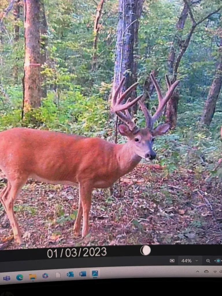 360 Long Hollow Lane Gainesboro TN 38562