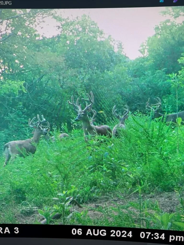 360 Long Hollow Lane Gainesboro TN 38562