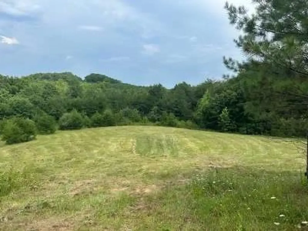 00 Greenfields Road/hwy 111 Spencer TN 38585
