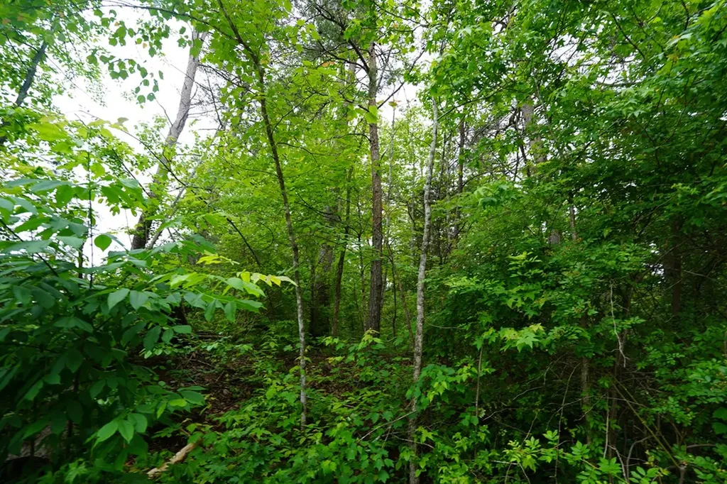 00 Greenfields Road/hwy 111 Spencer TN 38585