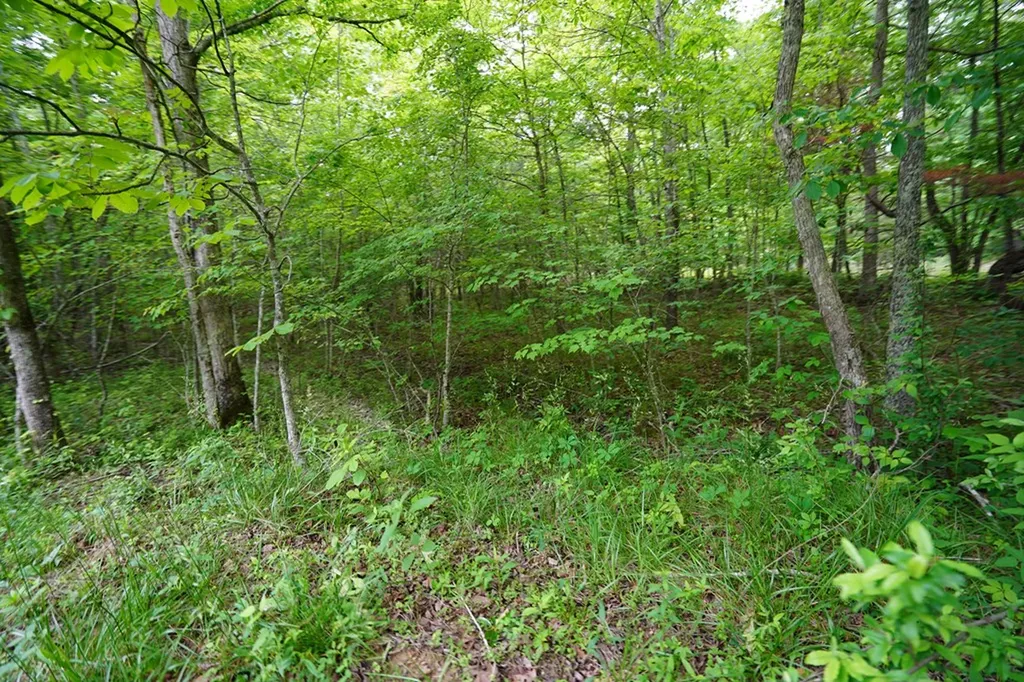 00 Greenfields Road/hwy 111 Spencer TN 38585