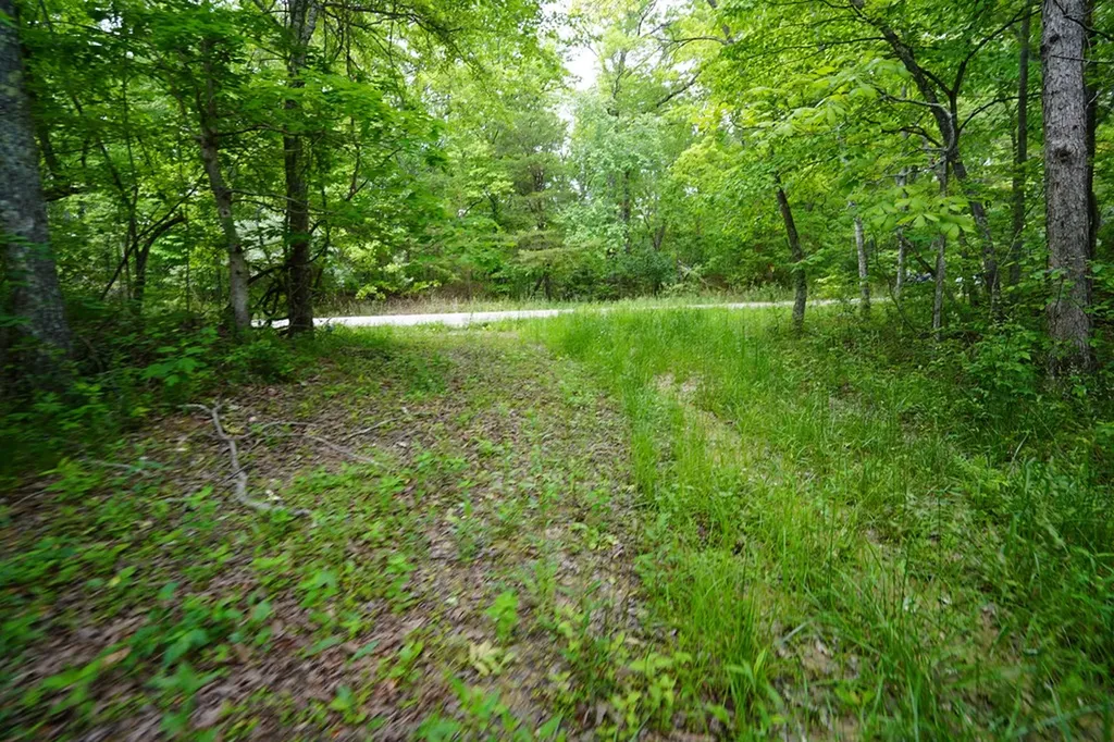 00 Greenfields Road/hwy 111 Spencer TN 38585