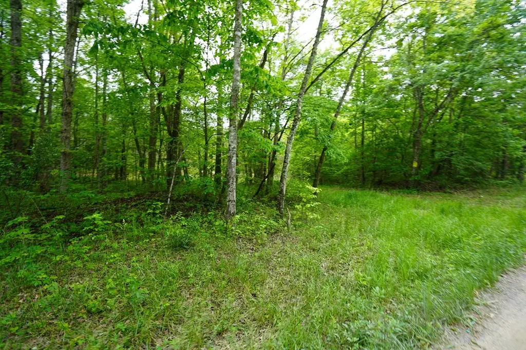 00 Greenfields Road/hwy 111 Spencer TN 38585