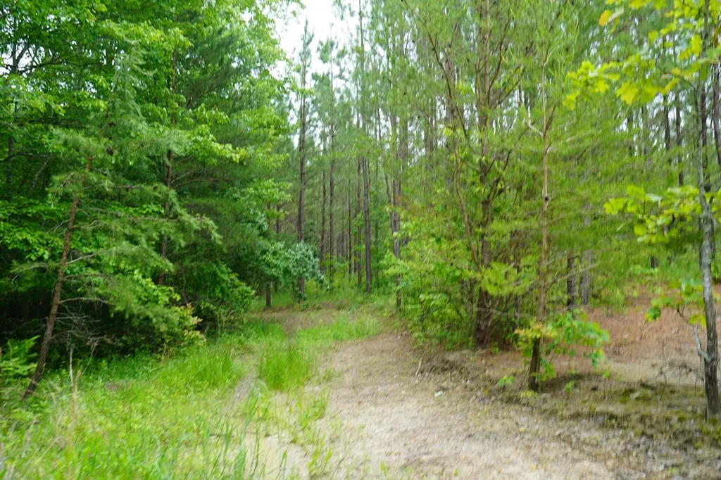 00 Greenfields Road/hwy 111 Spencer TN 38585