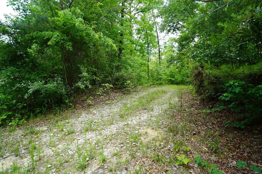 00 Greenfields Road/hwy 111 Spencer TN 38585