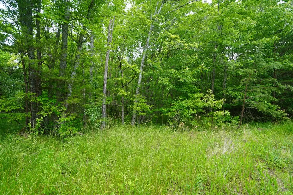 00 Greenfields Road/hwy 111 Spencer TN 38585