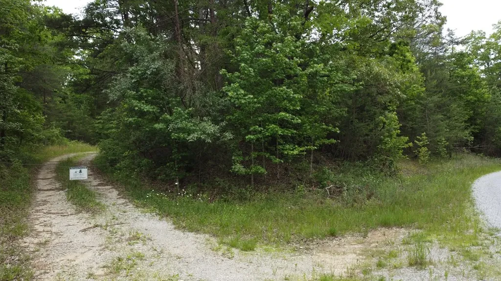 00 Greenfields Road/hwy 111 Spencer TN 38585