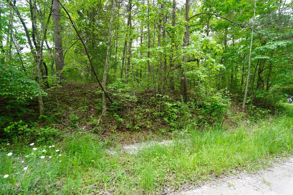 00 Greenfields Road/hwy 111 Spencer TN 38585