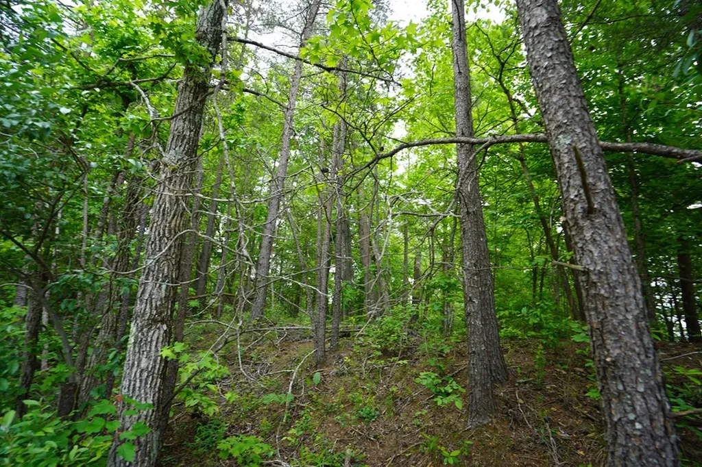 00 Greenfields Road/hwy 111 Spencer TN 38585