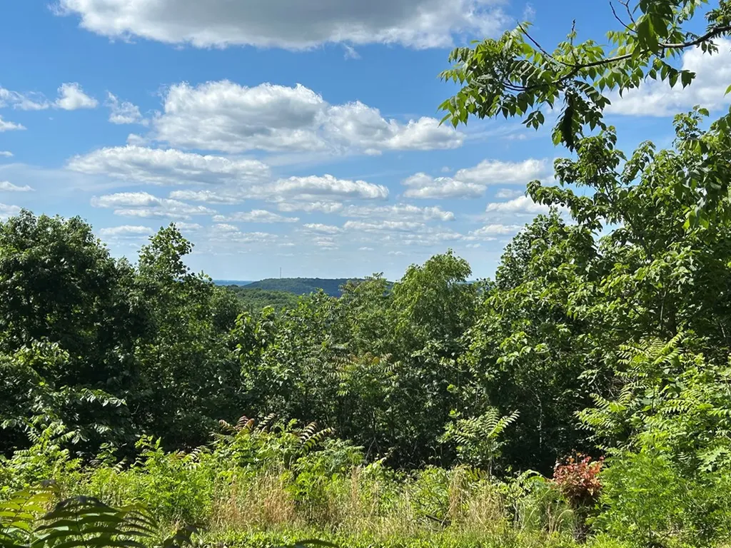 199 Ambers Drive Jamestown TN 38556