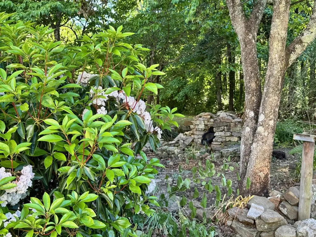 4540 S York Highway Jamestown TN 38556