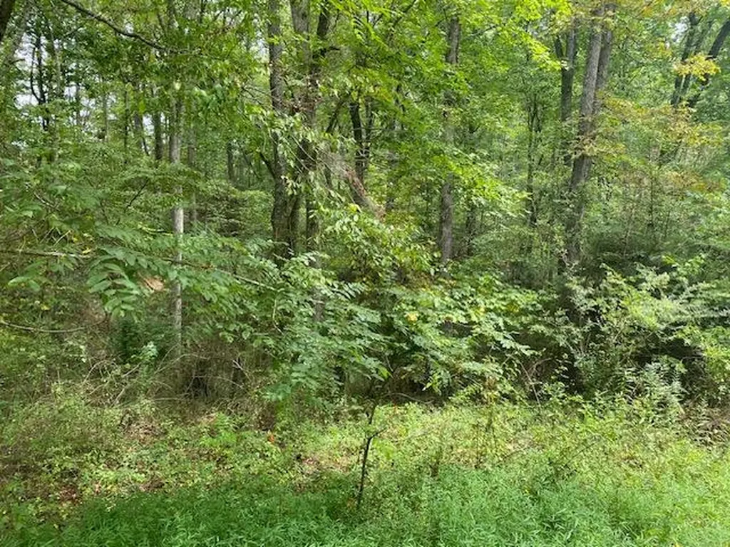 Lot 35 Ottoma Drive Crossville TN 38555