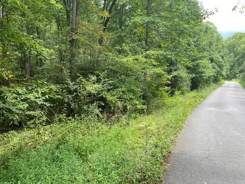 Lot 35 Ottoma Drive Crossville TN 38555