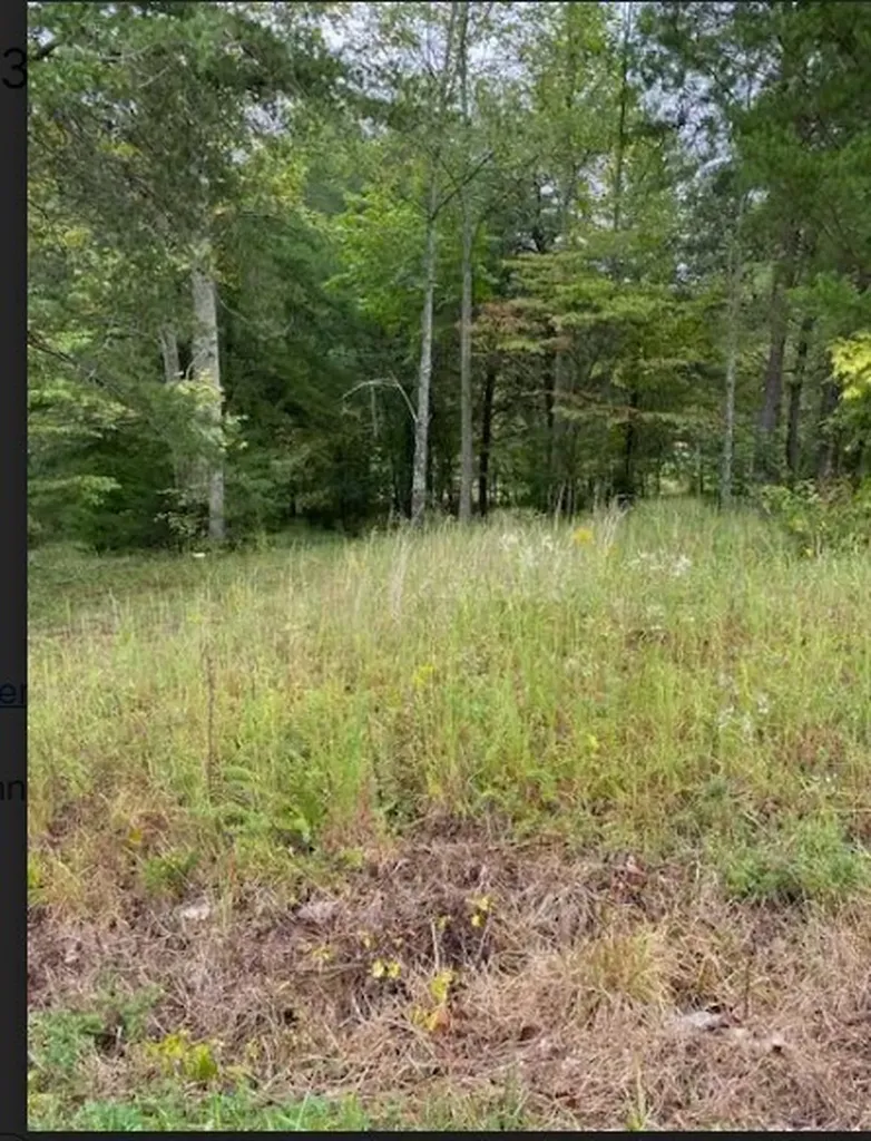 00 Christie Circle Cookeville TN 38501