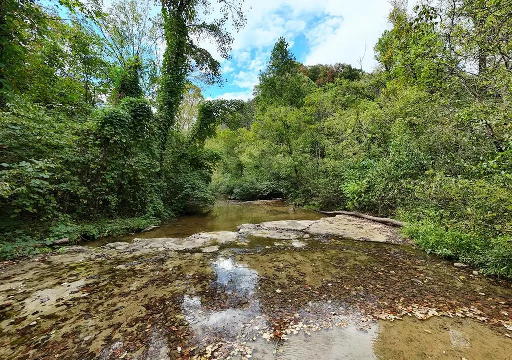 5154 Dry Mill Creek Hilham TN 38568