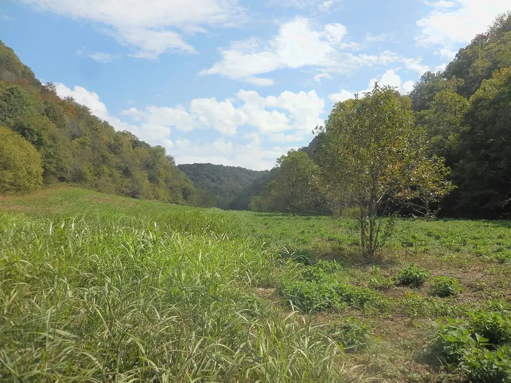 5154 Dry Mill Creek Hilham TN 38568