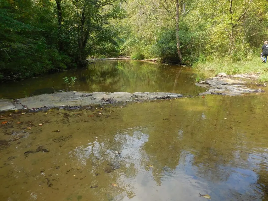 5154 Dry Mill Creek Hilham TN 38568