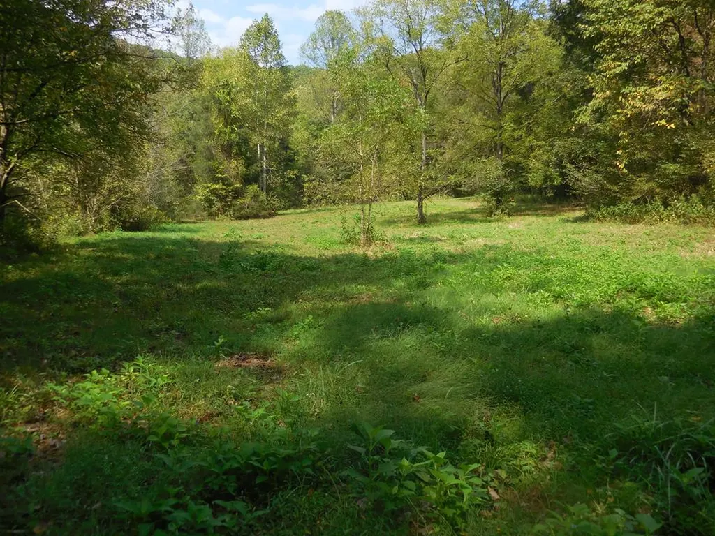 5154 Dry Mill Creek Hilham TN 38568