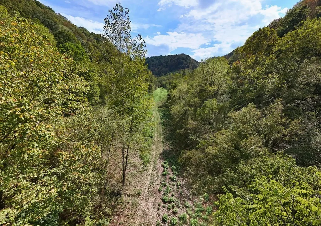 5154 Dry Mill Creek Hilham TN 38568