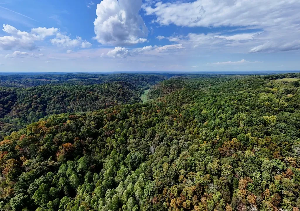 5154 Dry Mill Creek Hilham TN 38568