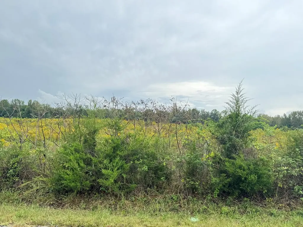 4160 Bennett Road Cookeville TN 38506