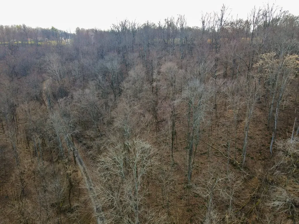00 NE New Salem Road Gainesboro TN 38562