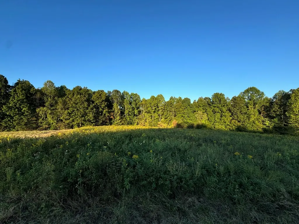 Lot 15 Ralph Spivey Lane Gainesboro TN 38562