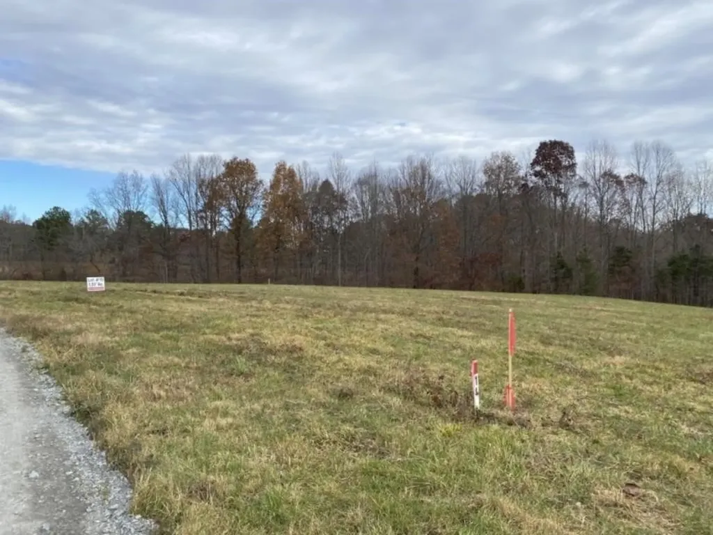 Lot 15 Ralph Spivey Lane Gainesboro TN 38562