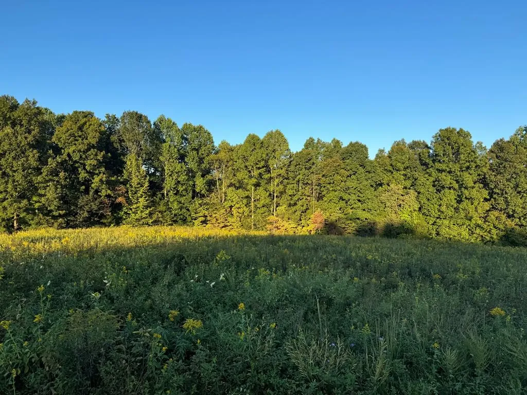 Lot 15 Ralph Spivey Lane Gainesboro TN 38562