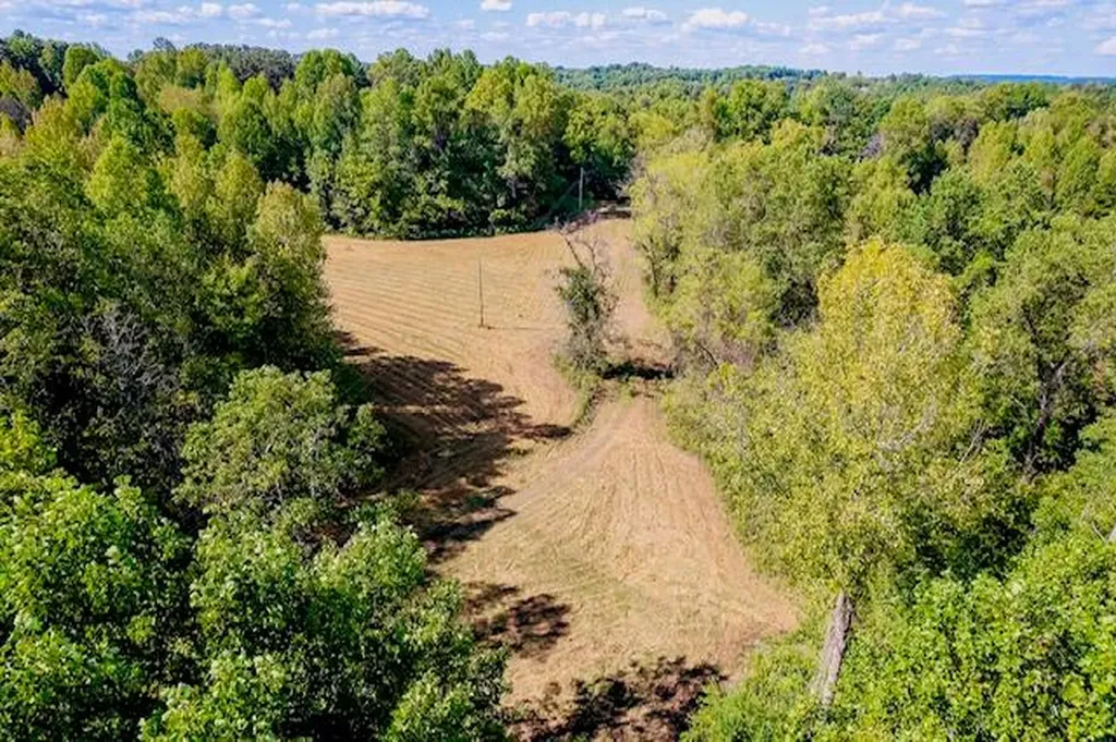 00 Bolestown Loop Lot 3 Alpine TN 38543