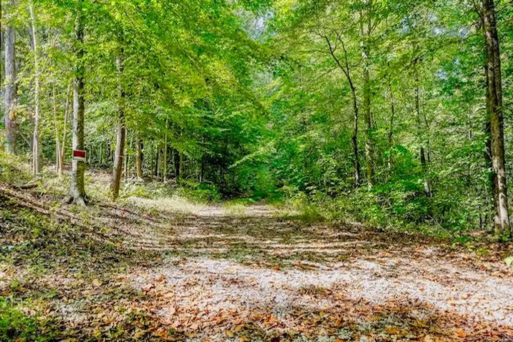 00 Bolestown Loop Lot 1 Alpine TN 38543
