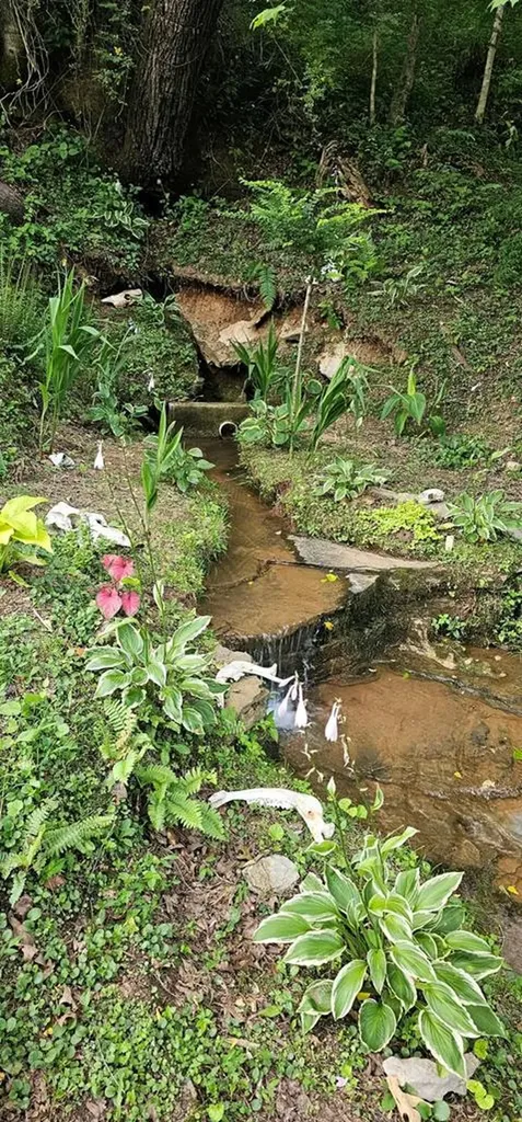 1353 Frank Sims Road Sparta TN 38583