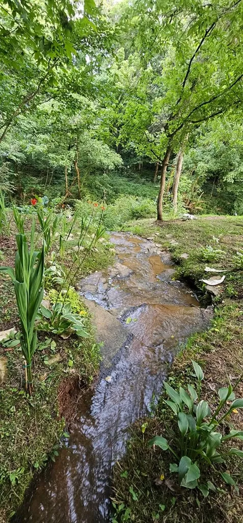 1353 Frank Sims Road Sparta TN 38583