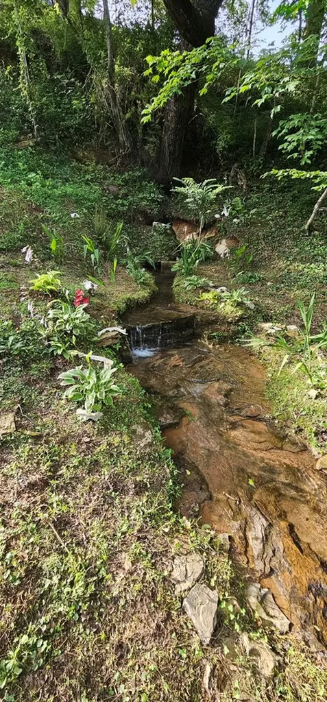 1353 Frank Sims Road Sparta TN 38583