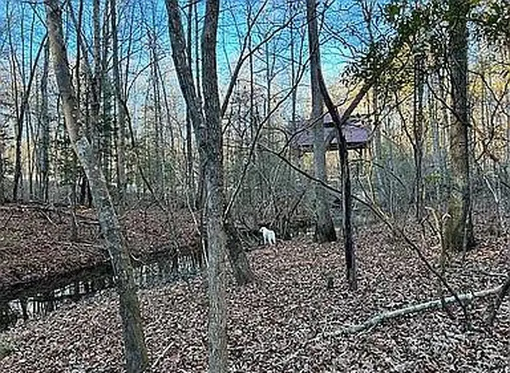 Lot 11 Camp Creek Road Spencer TN 38585