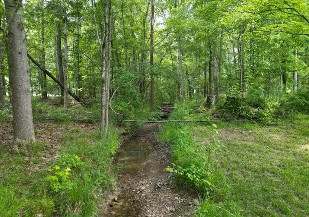 Lot 11 Camp Creek Road Spencer TN 38585