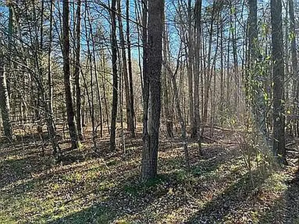 Lot 11 Camp Creek Road Spencer TN 38585