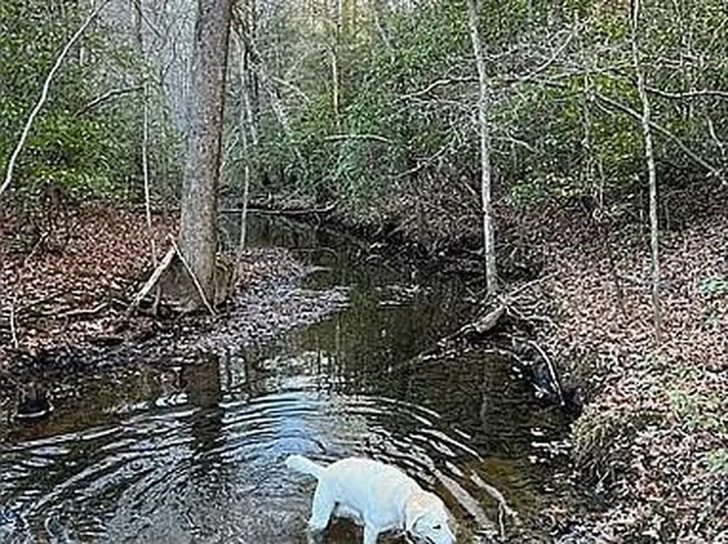 Lot 11 Camp Creek Road Spencer TN 38585
